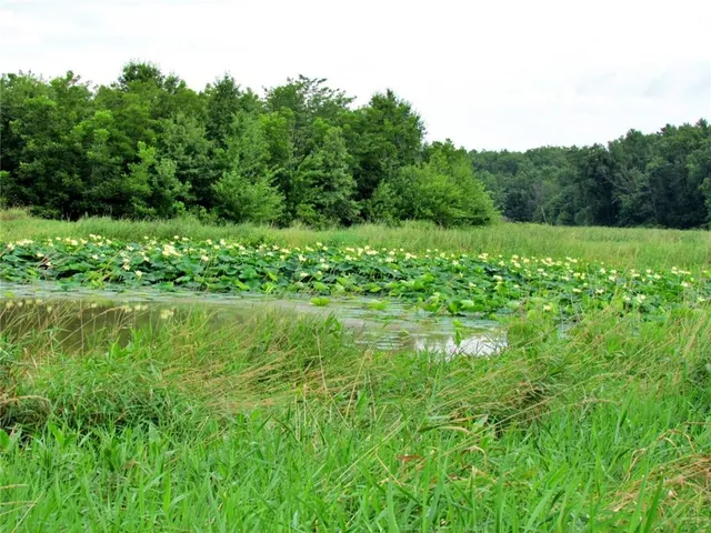 $575,000 | 24 Hwy Highway, Keytesville, MO 65261