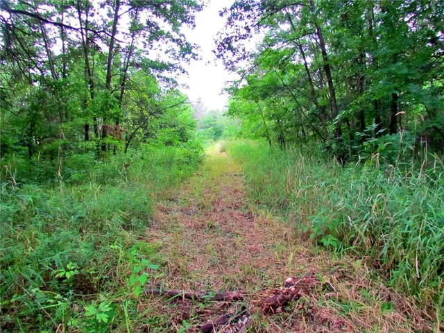 $575,000 | 24 Hwy Highway, Keytesville, MO 65261