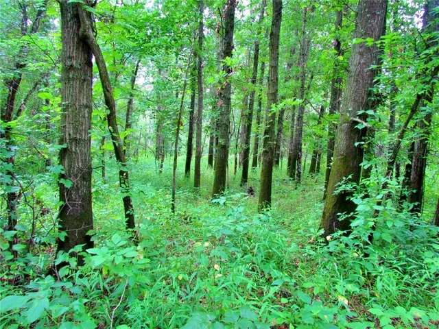 $575,000 | 24 Hwy Highway, Keytesville, MO 65261