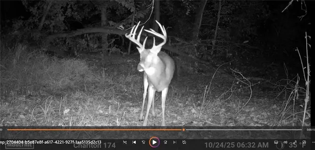 $575,000 | 24 Hwy Highway, Keytesville, MO 65261