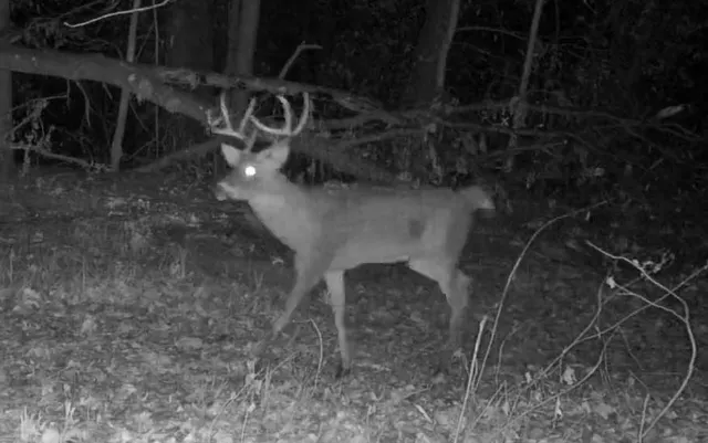 $575,000 | 24 Hwy Highway, Keytesville, MO 65261