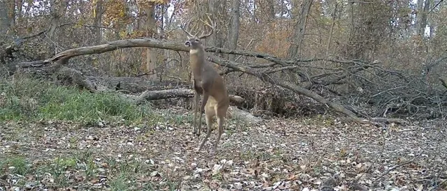 $575,000 | 24 Hwy Highway, Keytesville, MO 65261