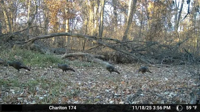 $575,000 | 24 Hwy Highway, Keytesville, MO 65261