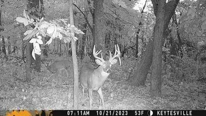 $575,000 | 24 Hwy Highway, Keytesville, MO 65261