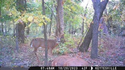 $575,000 | 24 Hwy Highway, Keytesville, MO 65261