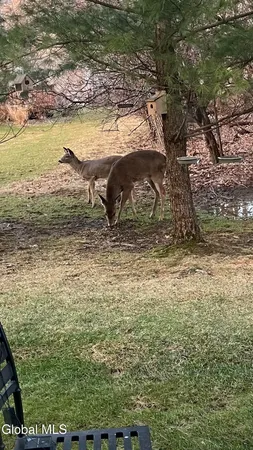 $260,000 | 503 Evergreen Place, Rensselaer, NY 12144