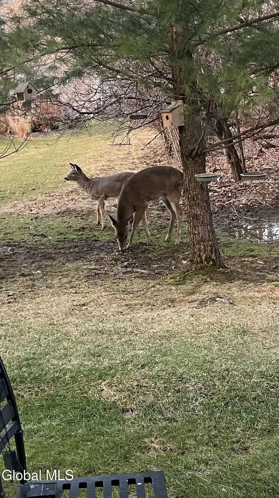 503 Evergreen Place Rensselaer, NY 12144 - Photo 25 of 26 IMG_2212