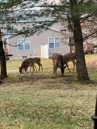 $260,000 | 503 Evergreen Place, Rensselaer, NY 12144