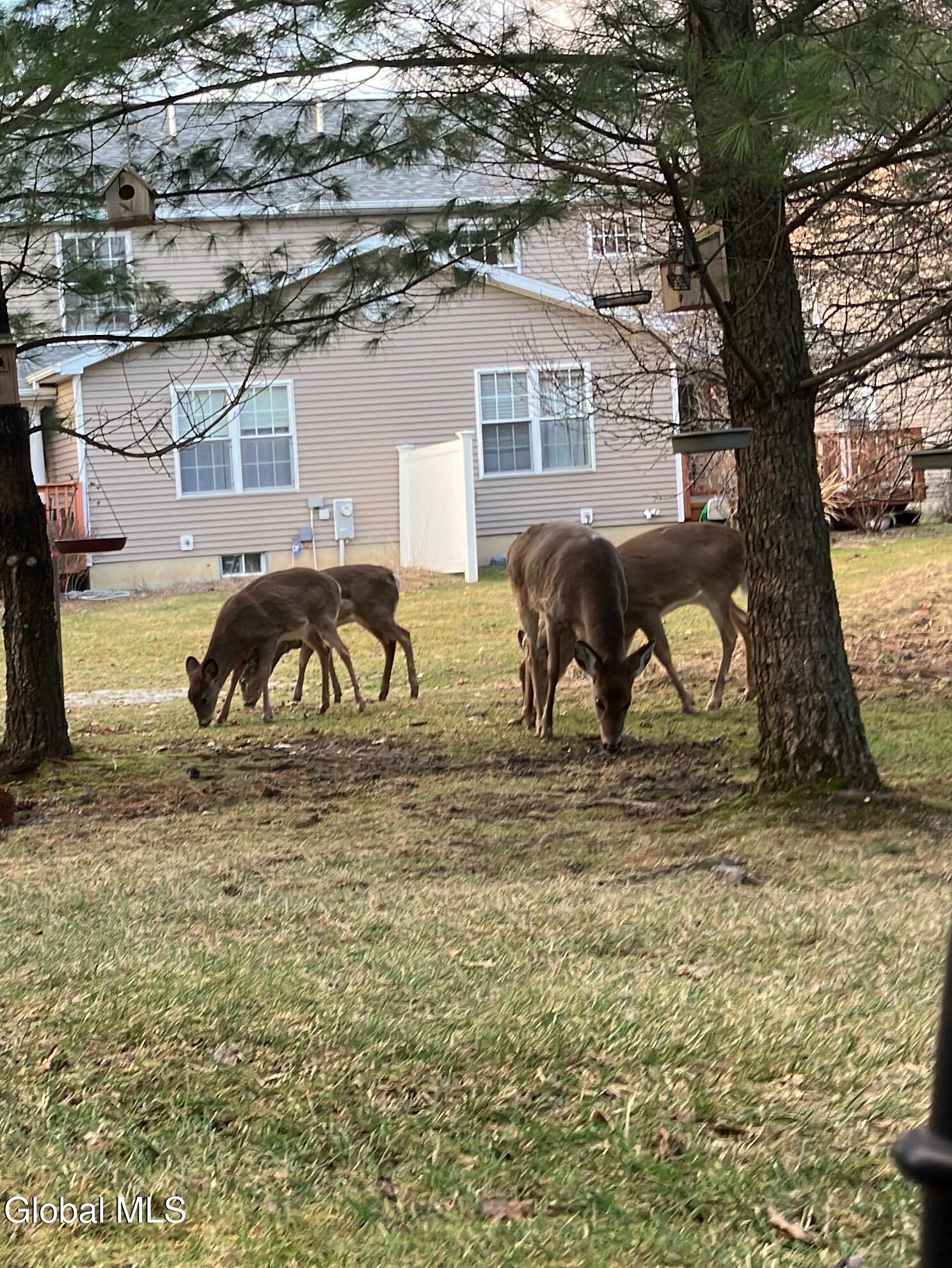 503 Evergreen Place Rensselaer, NY 12144 - Photo 26 of 26 IMG_2110