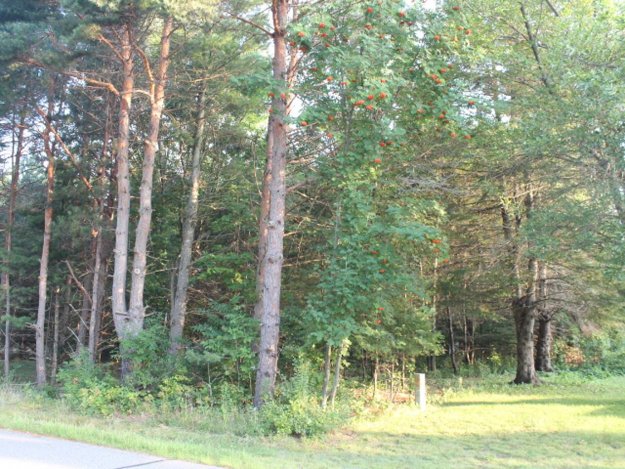 1679 Bonack Loop Three Lakes, WI 54562 - Photo 4 of 4 Gallery Image 4