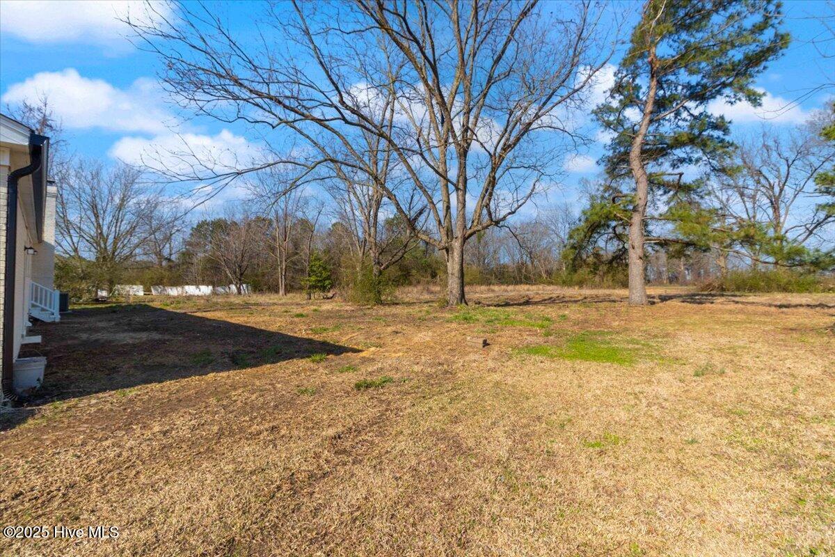 128 Flowers Road Mount Olive, NC 28365 - Photo 3 of 29 03-128 Flowers Rd-3