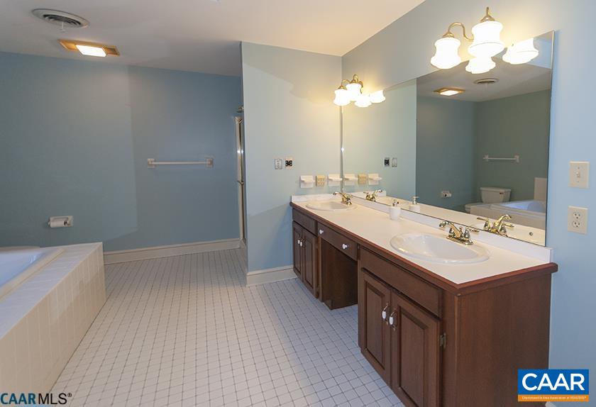 2355 Cinnamon Ridge Road Charlottesville, VA 22901 - Photo 14 of 36 a bathroom with a sink a large mirror and a light fixture