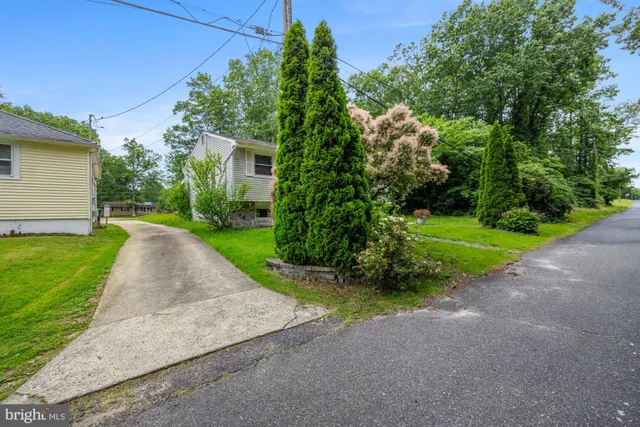 a view of a house with a small yard and a large tree