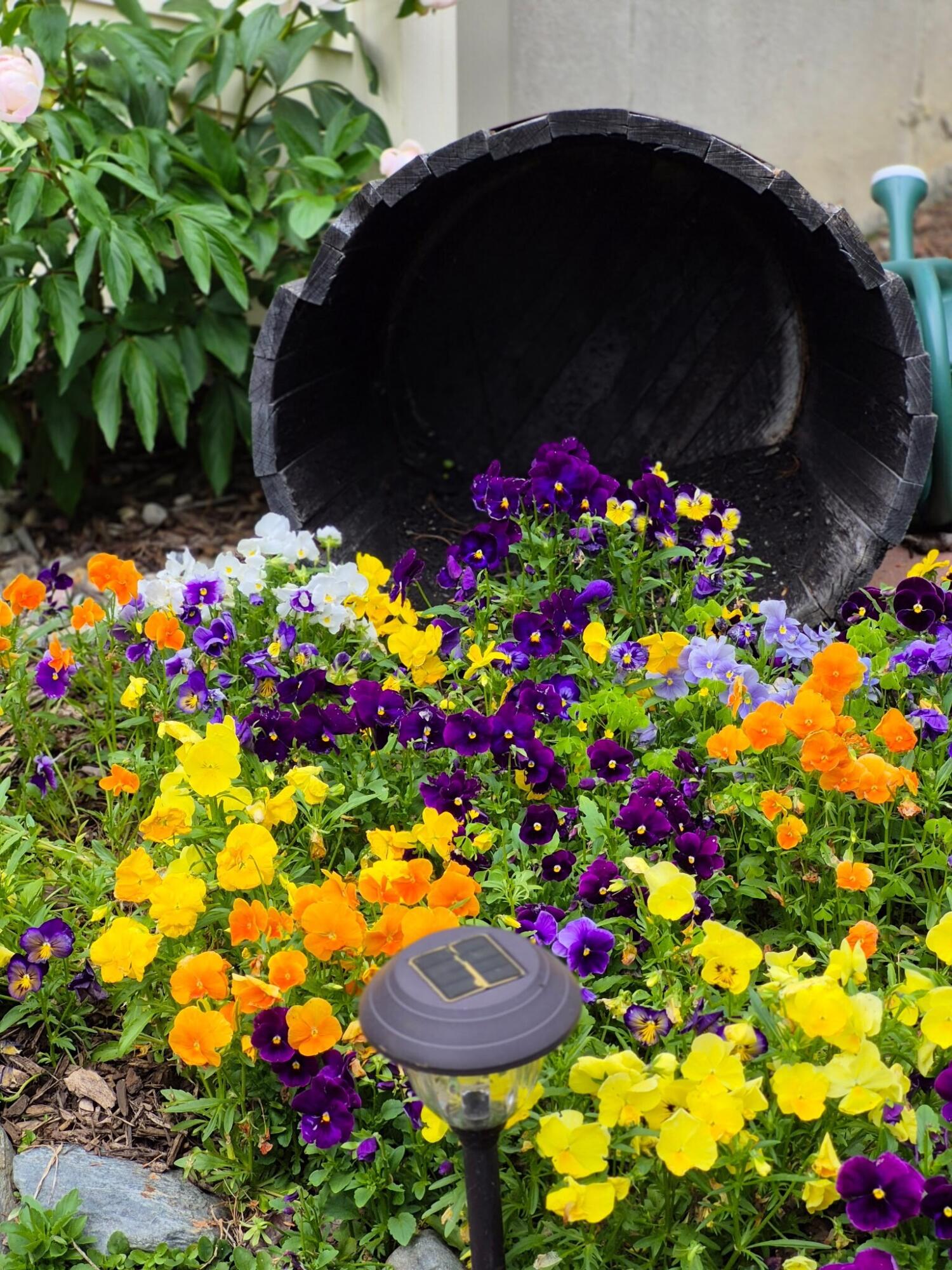 784 Eastern Avenue Holden, ME 04429 - Photo 87 of 96 thumbnail_IMG_20251030_125251