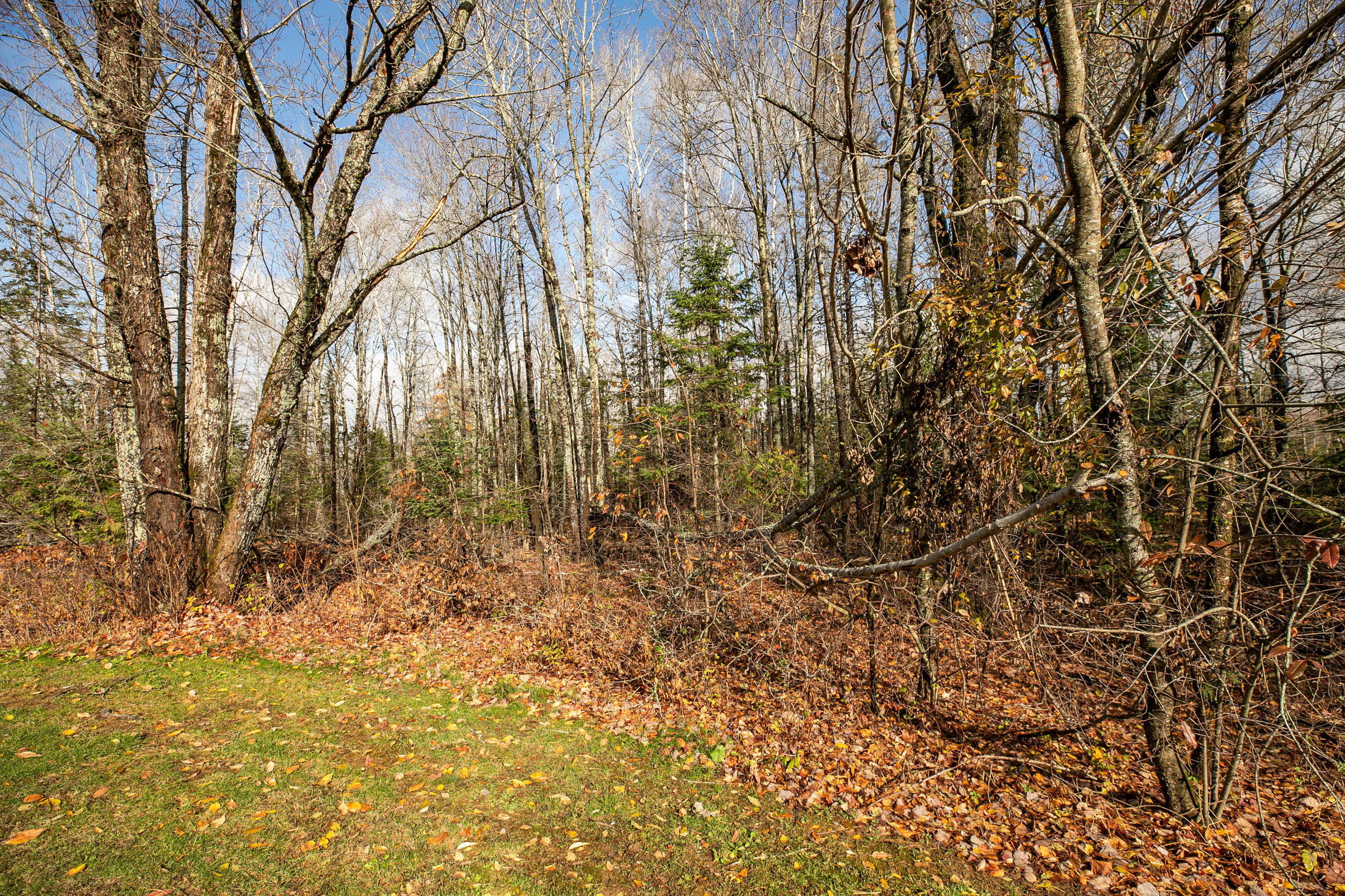 784 Eastern Avenue Holden, ME 04429 - Photo 89 of 96 784EasternAveHolden_oct_2025-73