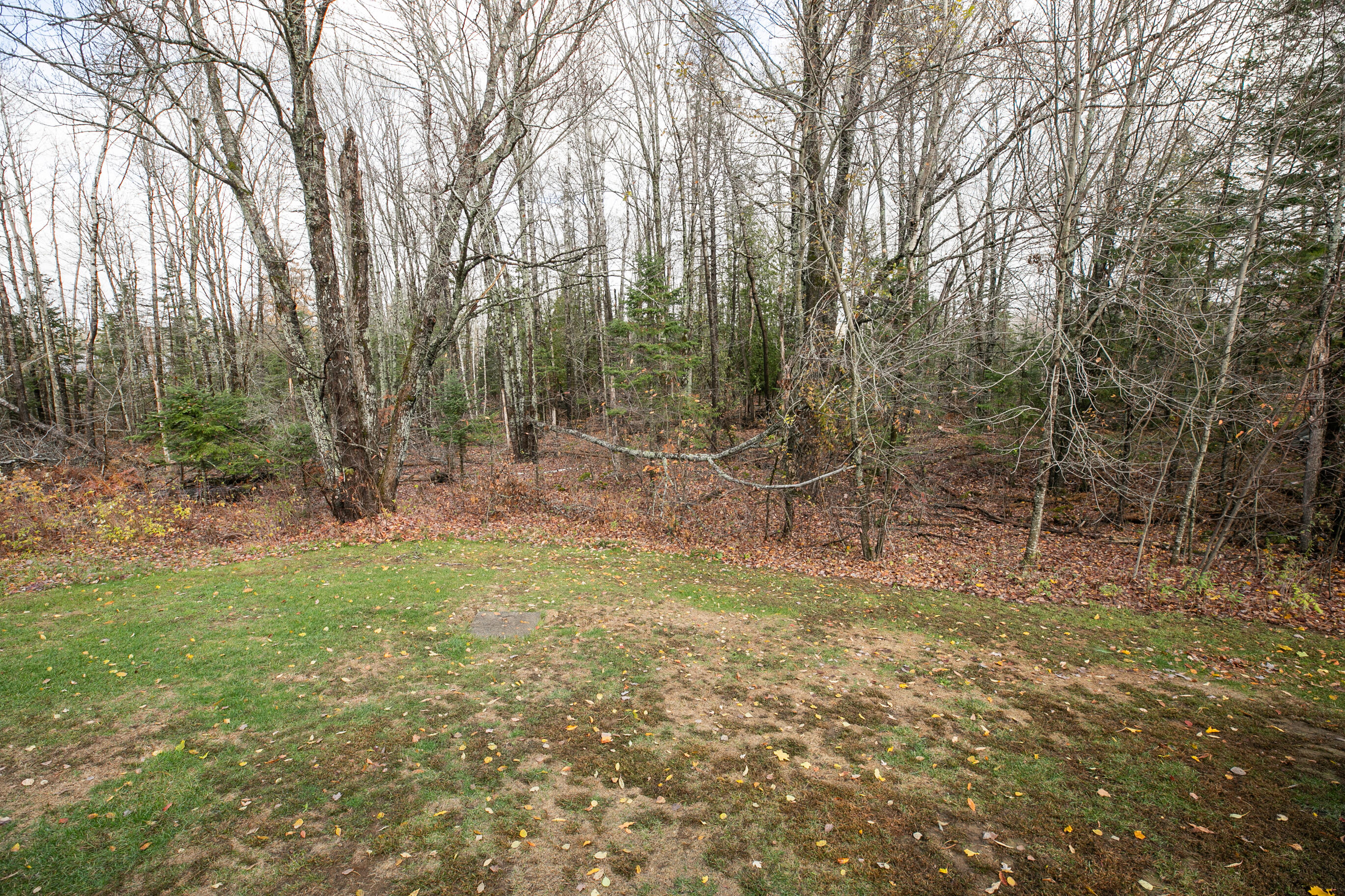 784 Eastern Avenue Holden, ME 04429 - Photo 90 of 96 784EasternAveHolden_oct_2025-54