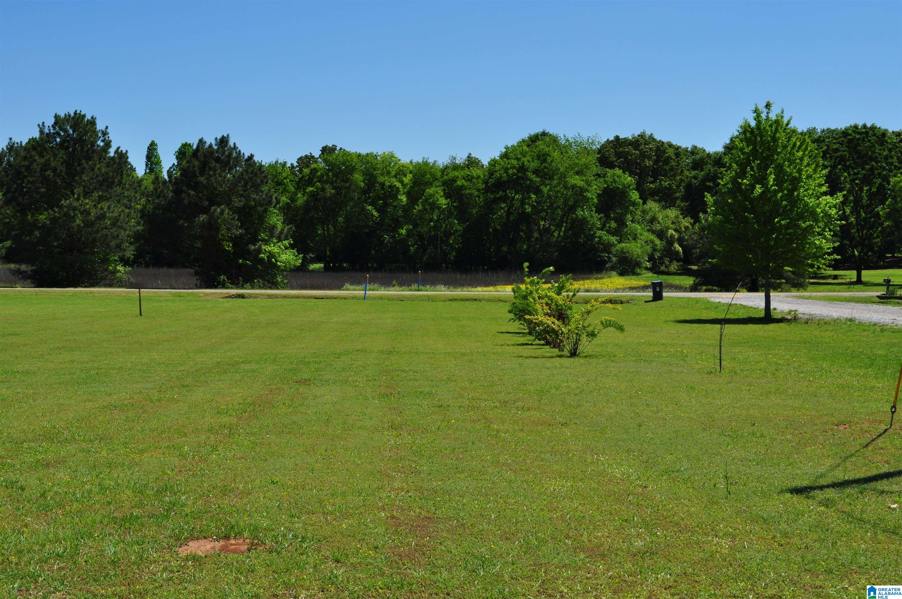 150 County Road 522 Selma, AL 36701 - Photo 5 of 30