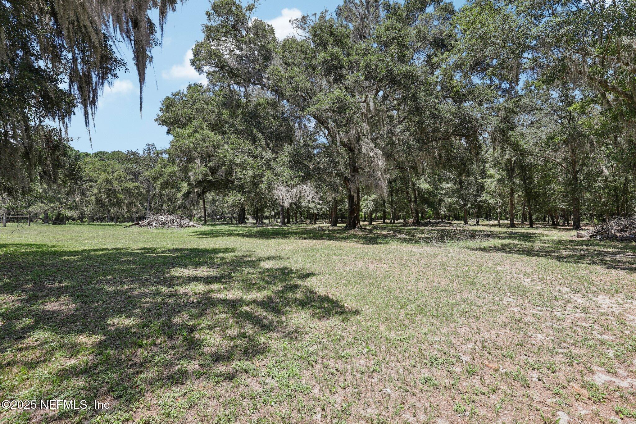 3992 Hidden Acre Road Middleburg, FL 32068 - Photo 50 of 74 Back Field
