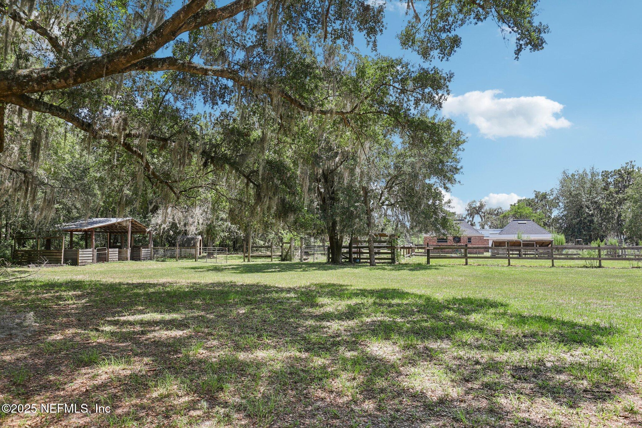 3992 Hidden Acre Road Middleburg, FL 32068 - Photo 51 of 74 Back Field