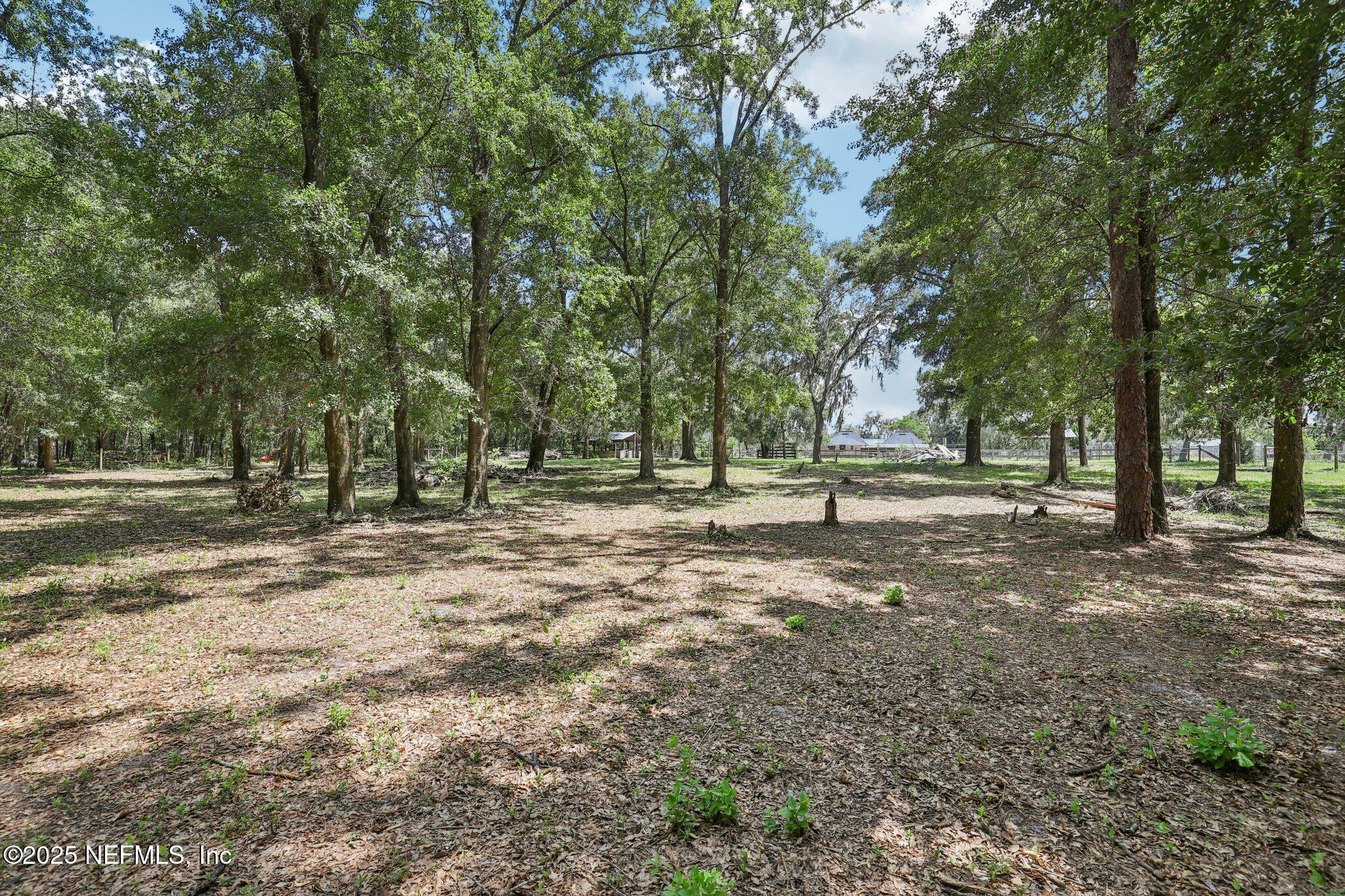 3992 Hidden Acre Road Middleburg, FL 32068 - Photo 52 of 74 Back Field