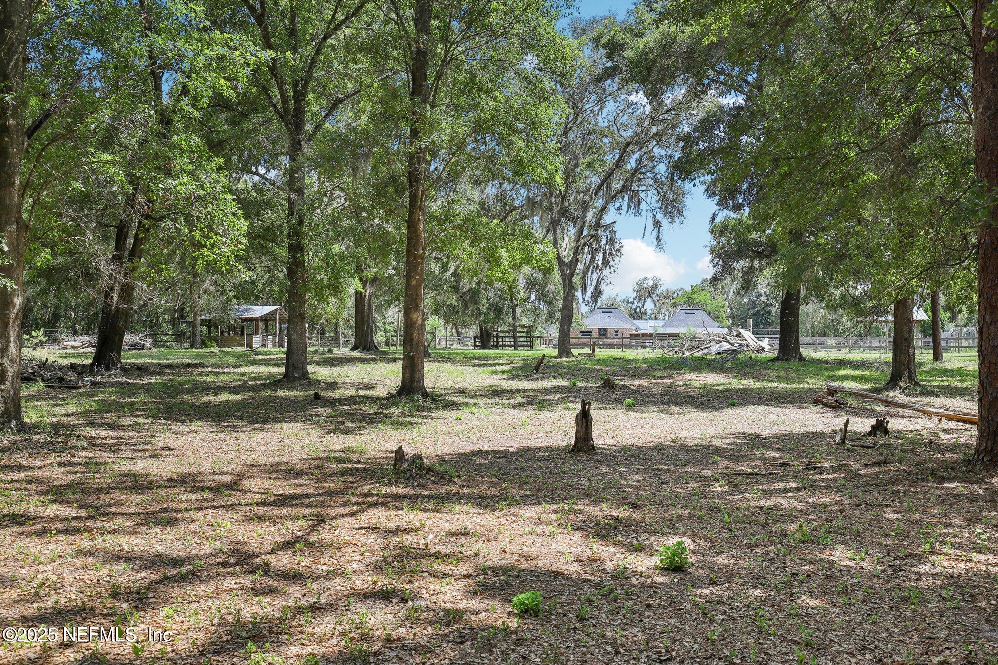 3992 Hidden Acre Road Middleburg, FL 32068 - Photo 53 of 74 Back Field
