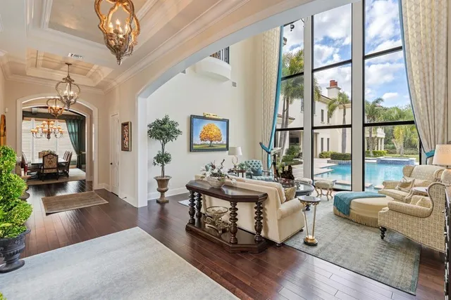 a living room with furniture a rug and a potted plant