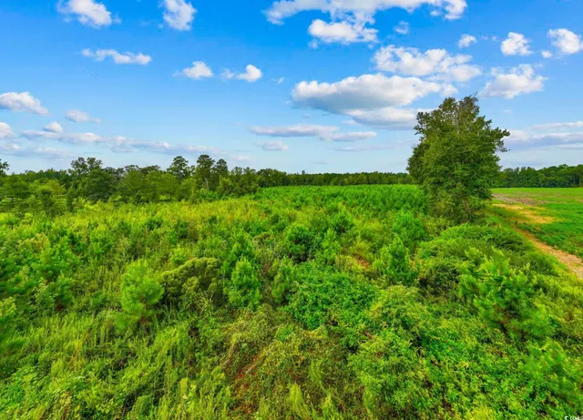 $325,000 | Tbd Carter Road, Loris, SC 29569