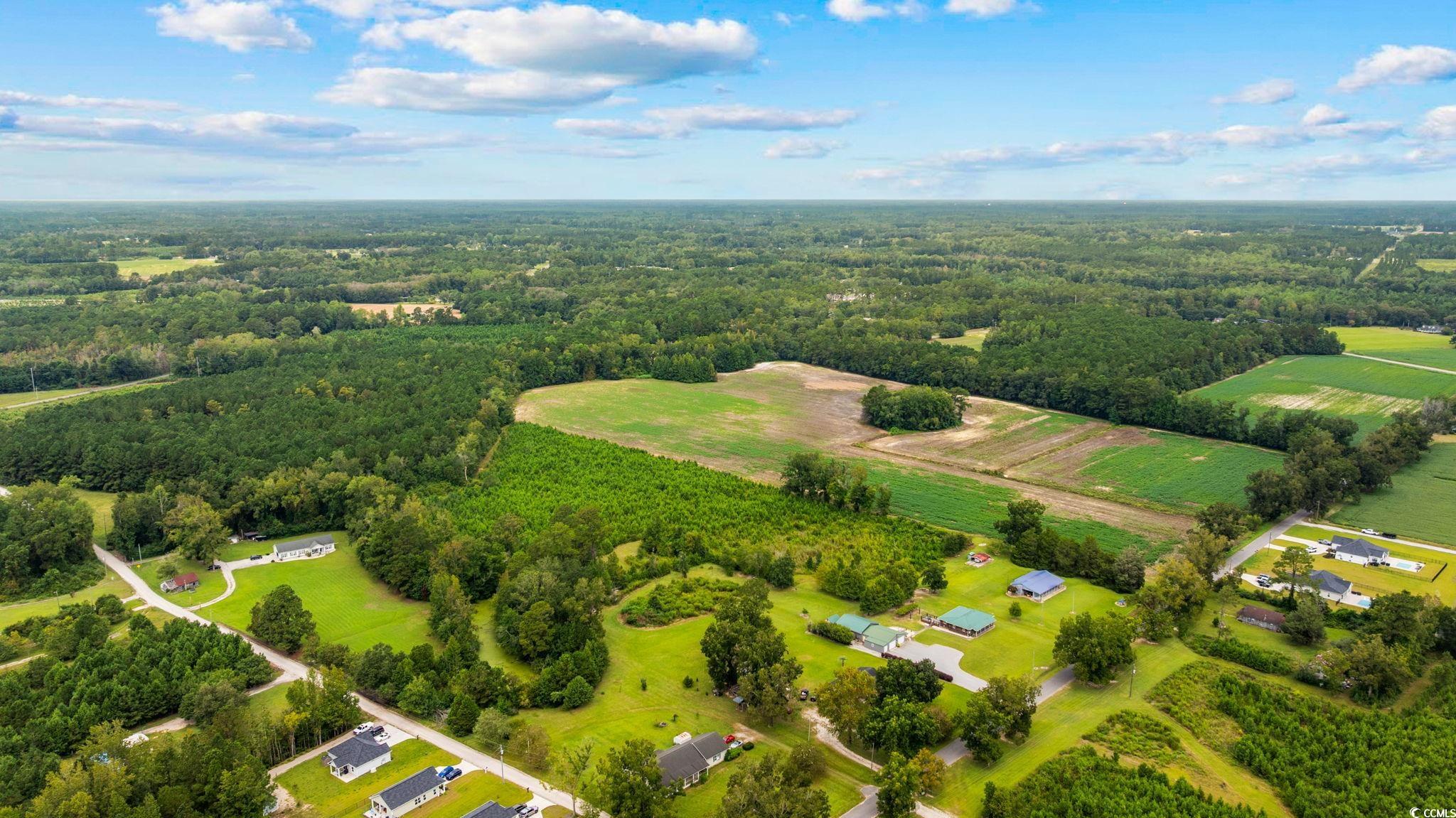 Tbd Carter Road Loris, SC 29569 - Photo 12 of 16