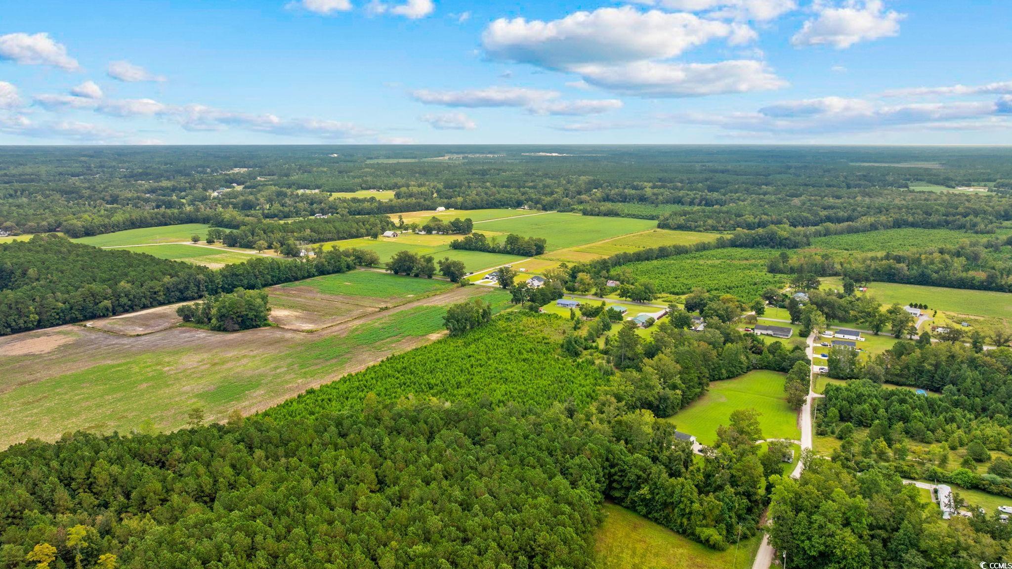 Tbd Carter Road Loris, SC 29569 - Photo 13 of 16