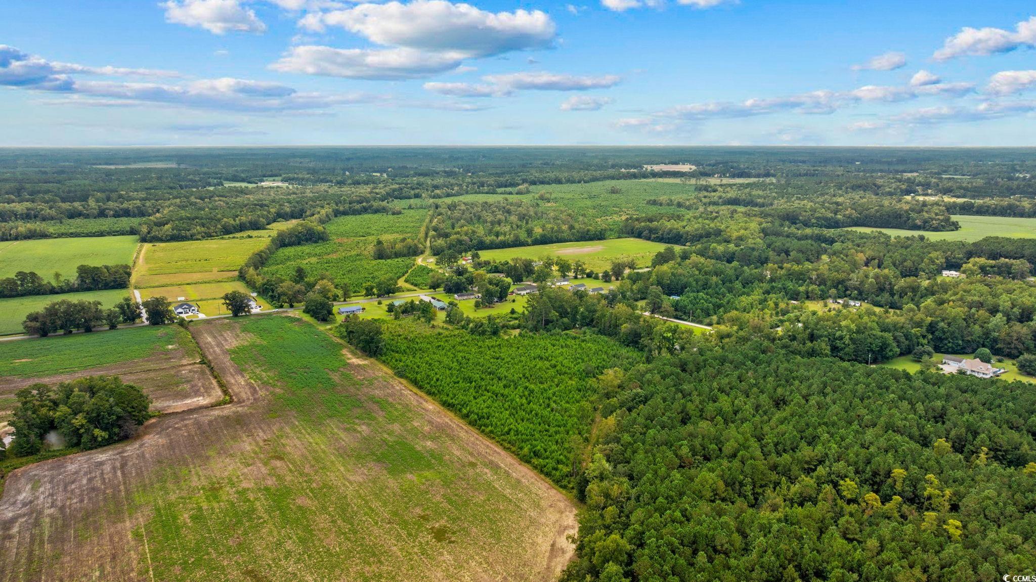 Tbd Carter Road Loris, SC 29569 - Photo 15 of 16