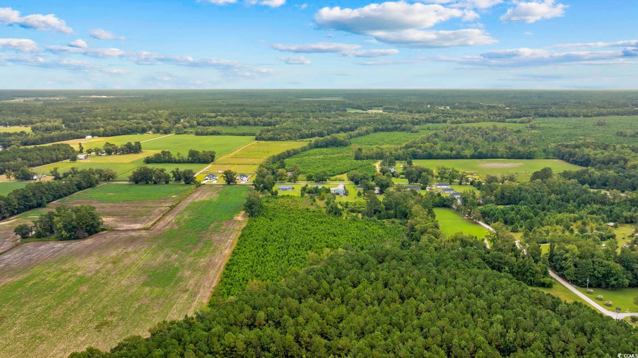 Tbd Carter Road Loris, SC 29569 - Photo 16 of 16
