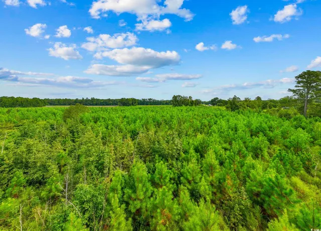 $325,000 | Tbd Carter Road, Loris, SC 29569