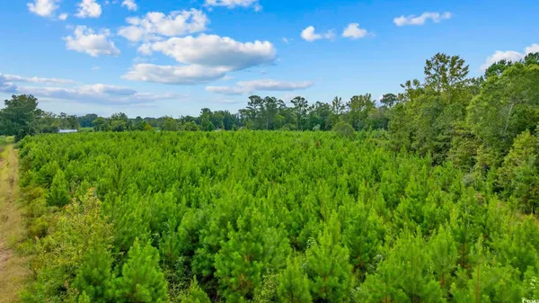 $325,000 | Tbd Carter Road, Loris, SC 29569