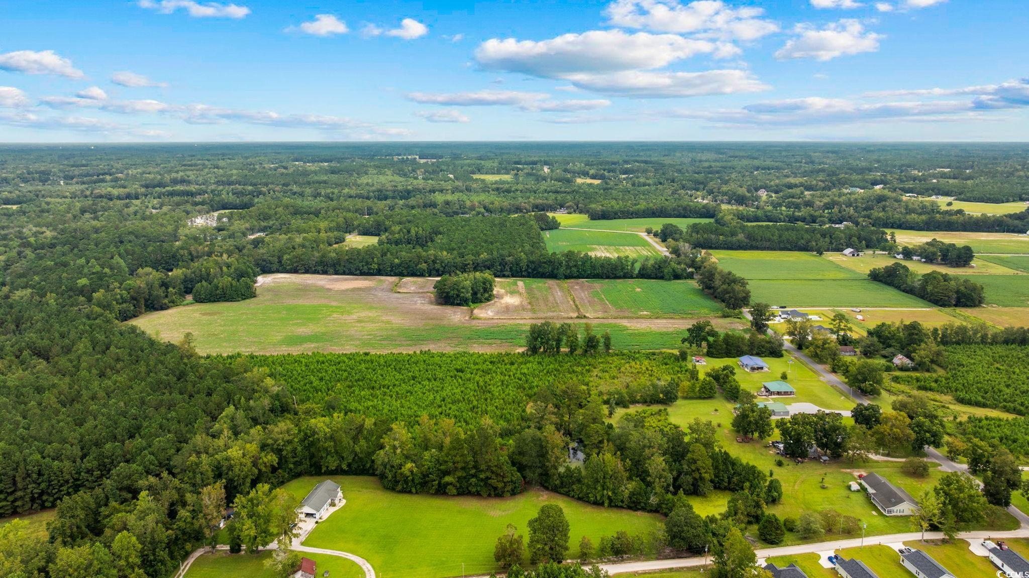 Tbd Carter Road Loris, SC 29569 - Photo 4 of 4