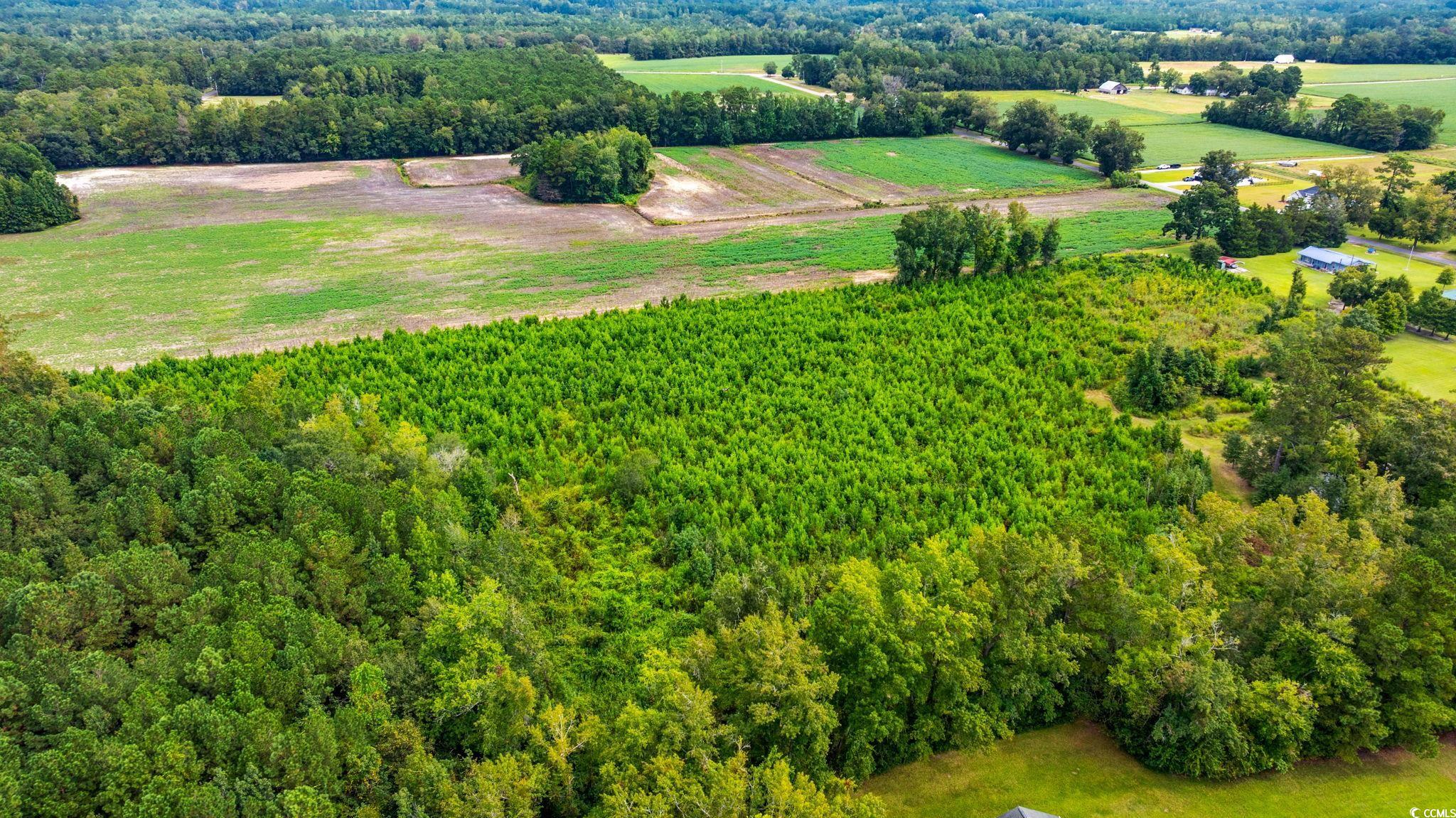 Tbd Carter Road Loris, SC 29569 - Photo 5 of 16