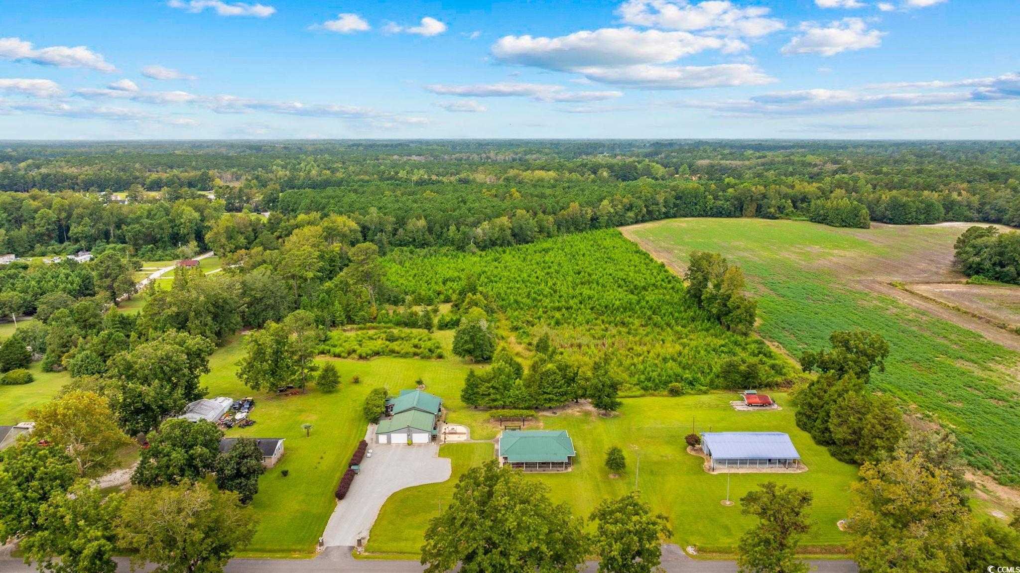 Tbd Carter Road Loris, SC 29569 - Photo 8 of 16