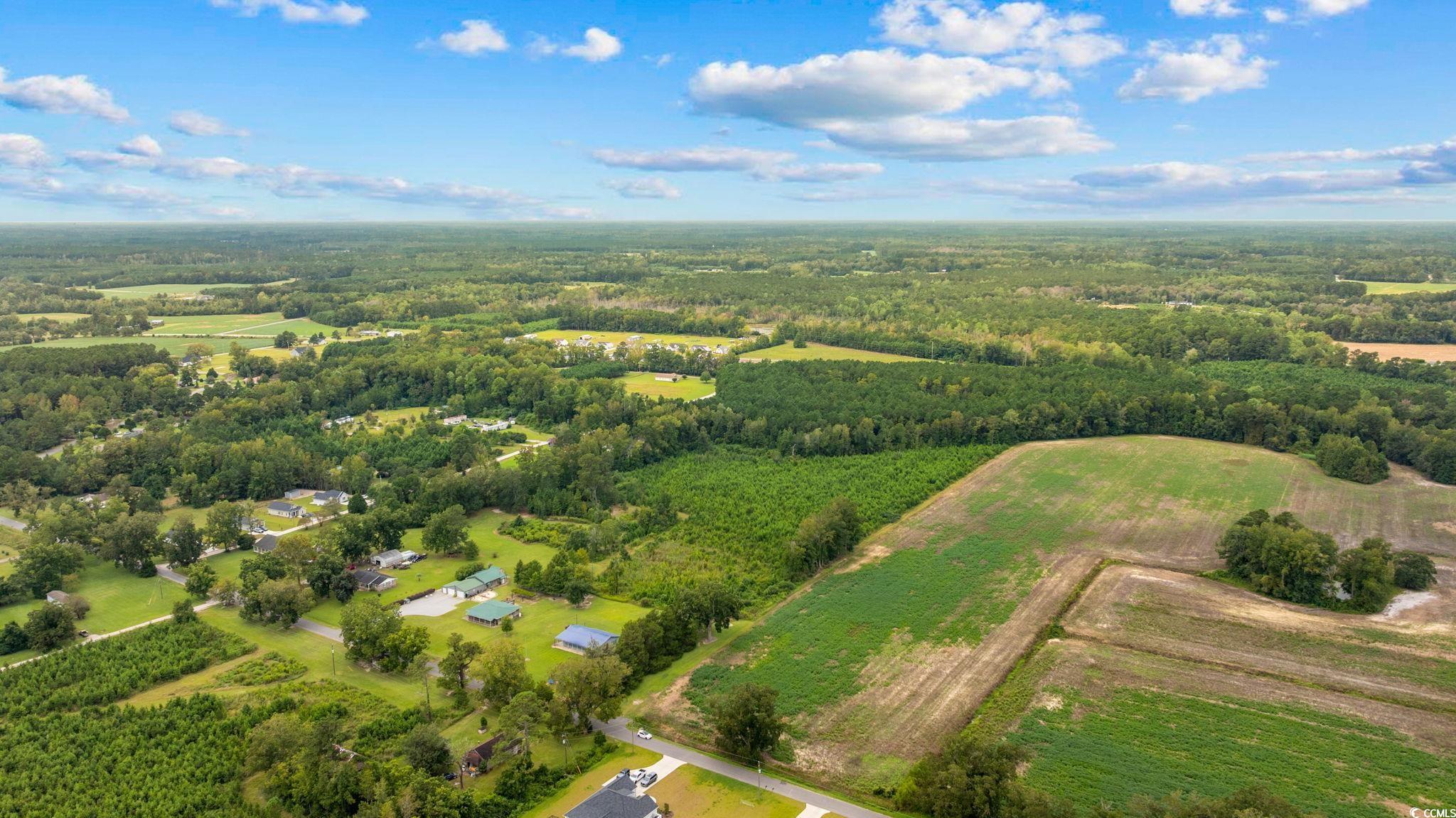 Tbd Carter Road Loris, SC 29569 - Photo 10 of 16