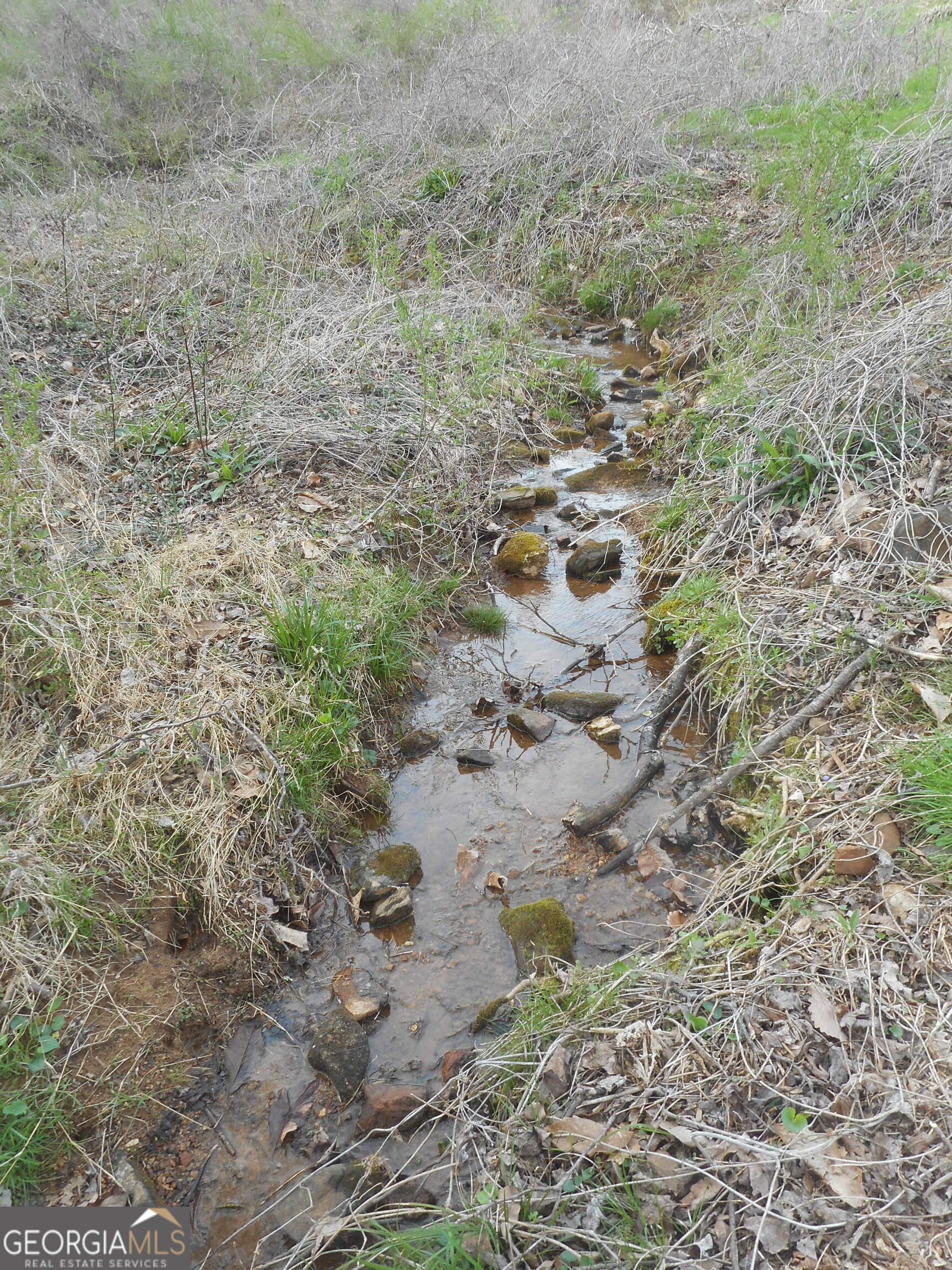 530 Grandview Avenue Mount Airy, GA 30563 - Photo 2 of 20 a view of a yard with trees