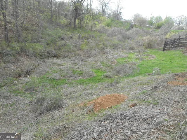 $398,000 | 530 Grandview Avenue, Mount Airy, GA 30563