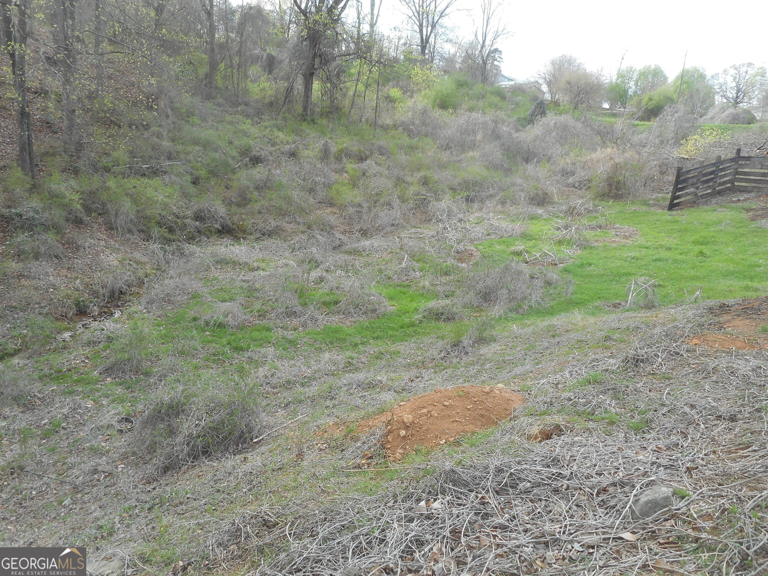 530 Grandview Avenue Mount Airy, GA 30563 - Photo 4 of 20 a view of a dry yard with trees