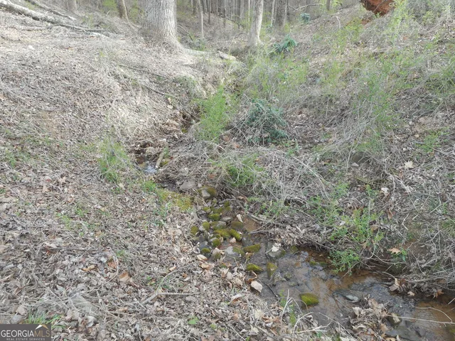 $398,000 | 530 Grandview Avenue, Mount Airy, GA 30563