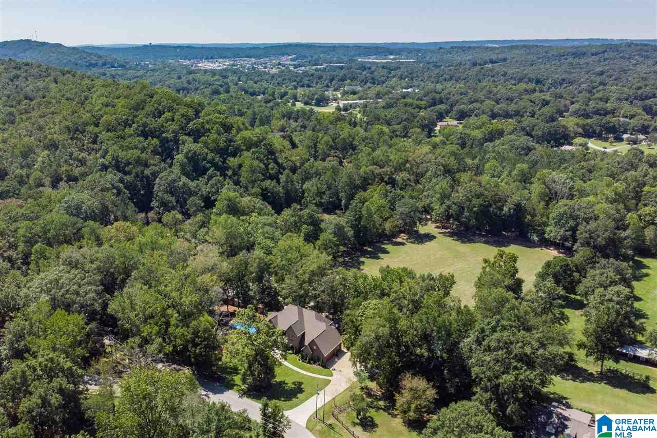600 Indian Trail Road Pelham, AL 35124 - Photo 46 of 50