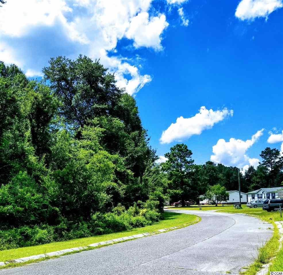 358 Bright Leaf Road Loris, SC 29569 - Photo 17 of 17 Gallery Image 17
