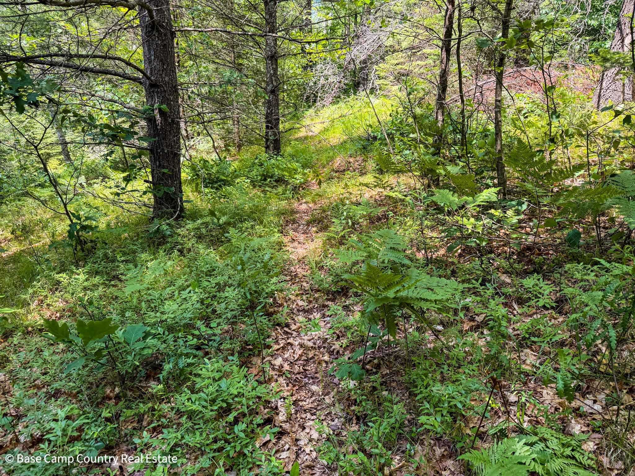East Bass Lake Road Townsend, WI 54175 - Photo 21 of 31