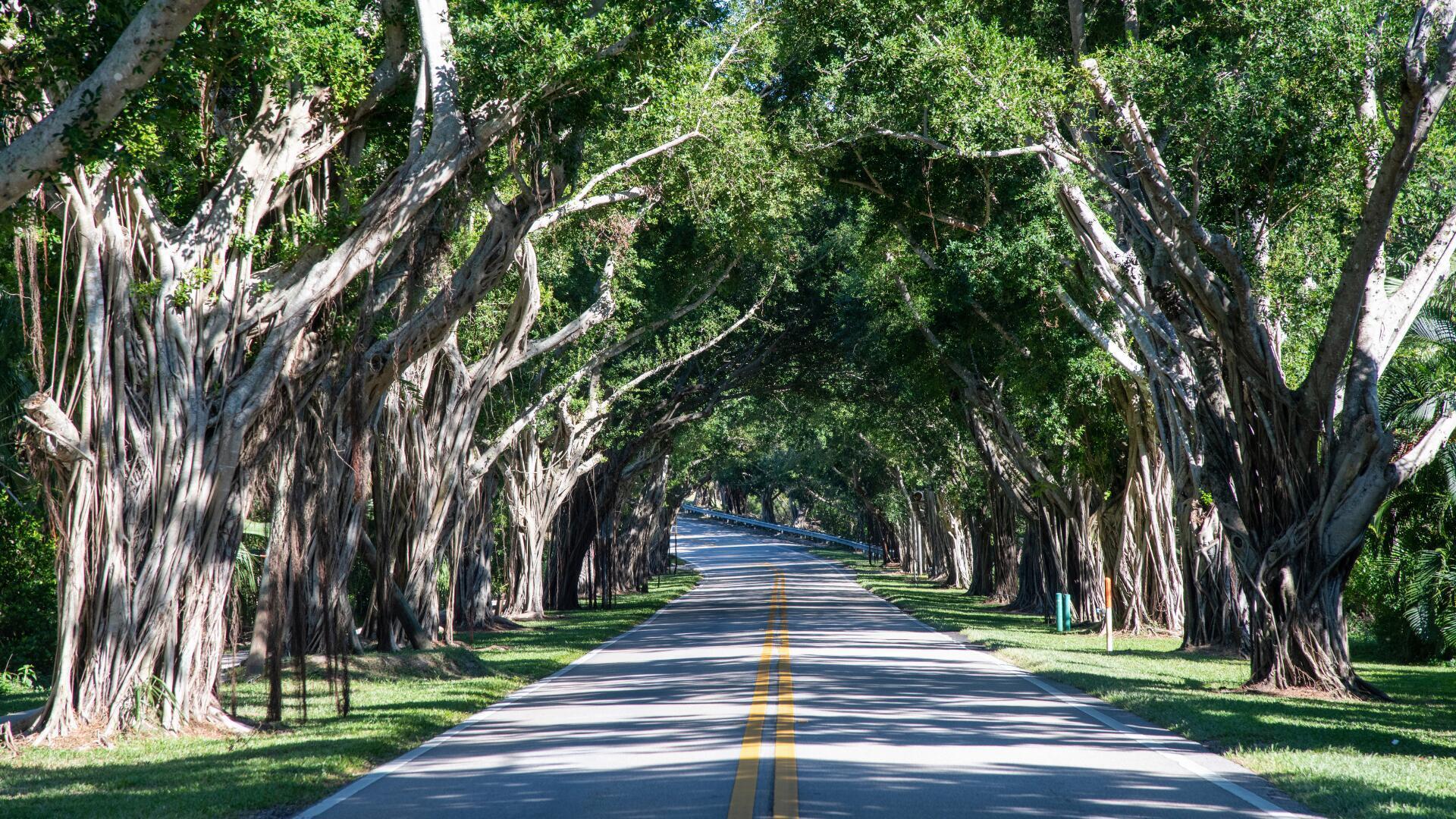 9025 Southeast Bridge Road, Unit A Hobe Sound, FL 33455 - Photo 7 of 31 Bridge Road Hobe Sound Florida Banyan Gr