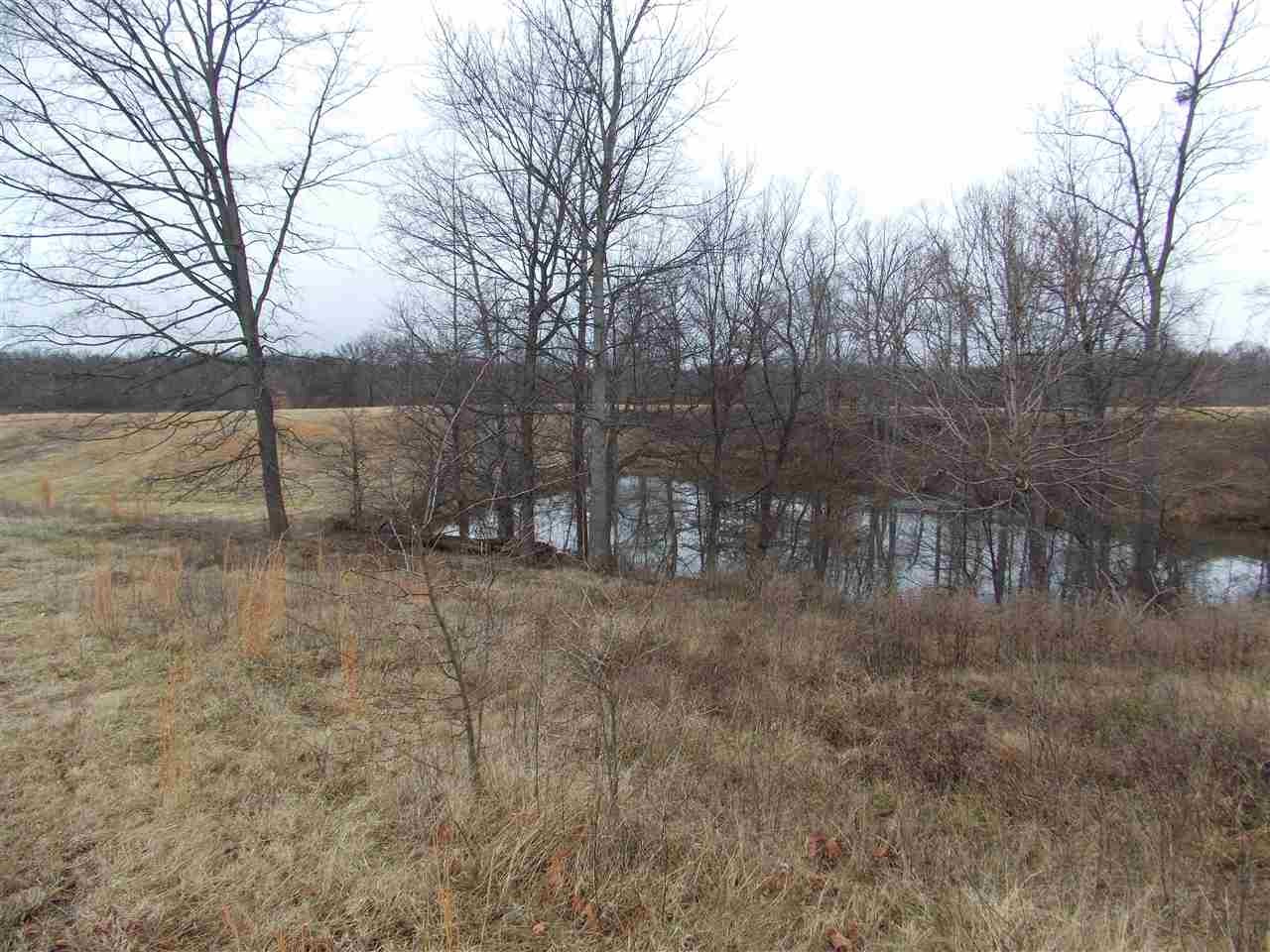 0 Crutcher Road Henning, TN 38041 - Photo 12 of 22 a view of backyard with green space