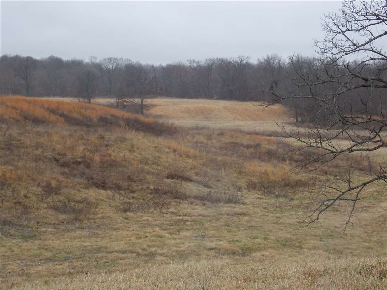 0 Crutcher Road Henning, TN 38041 - Photo 20 of 22 a view of an outdoor space and mountain view
