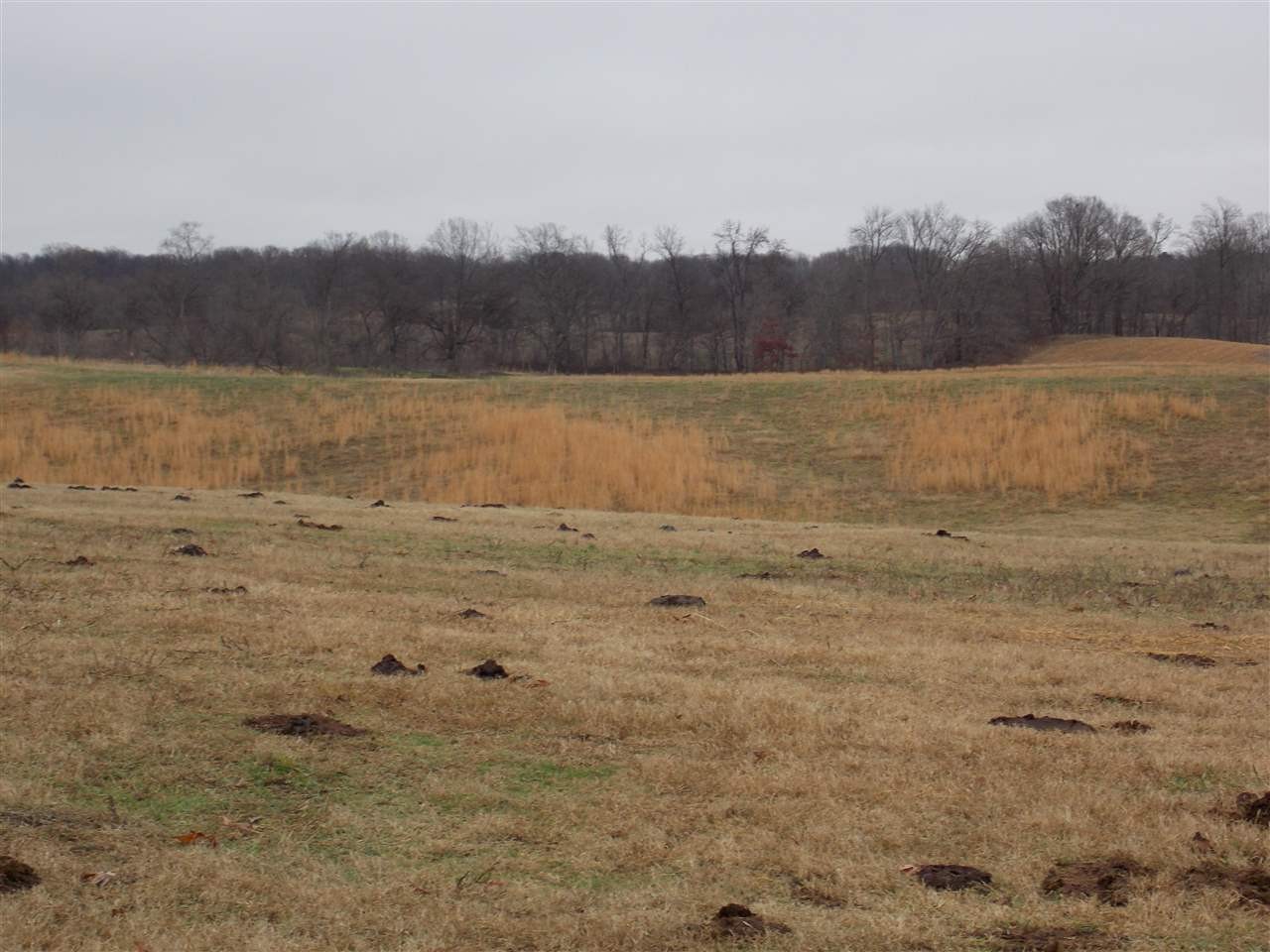 0 Crutcher Road Henning, TN 38041 - Photo 6 of 22 a view of a lake view and mountain view
