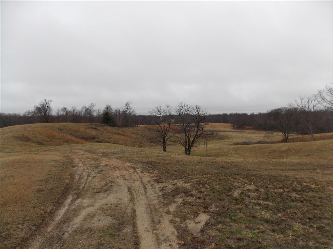 0 Crutcher Road Henning, TN 38041 - Photo 9 of 22 a view of lake view and mountain