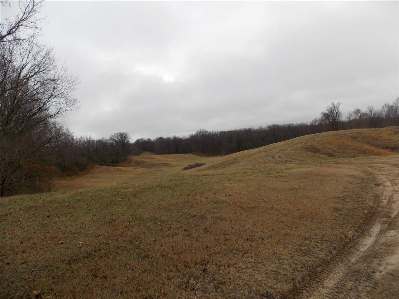 0 Crutcher Road Henning, TN 38041 - Photo 10 of 22 a view of lake view and mountain